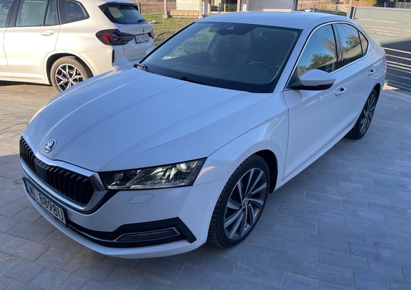 Skoda Octavia cena 99999 przebieg: 111416, rok produkcji 2020 z Zawidów małe 379